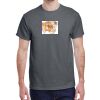 Heavy Cotton™ 5.3 oz. T-Shirt Thumbnail